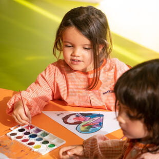 Pla d’estudis infantil | Hamelin-Laie International School - Feature Cards Pattern