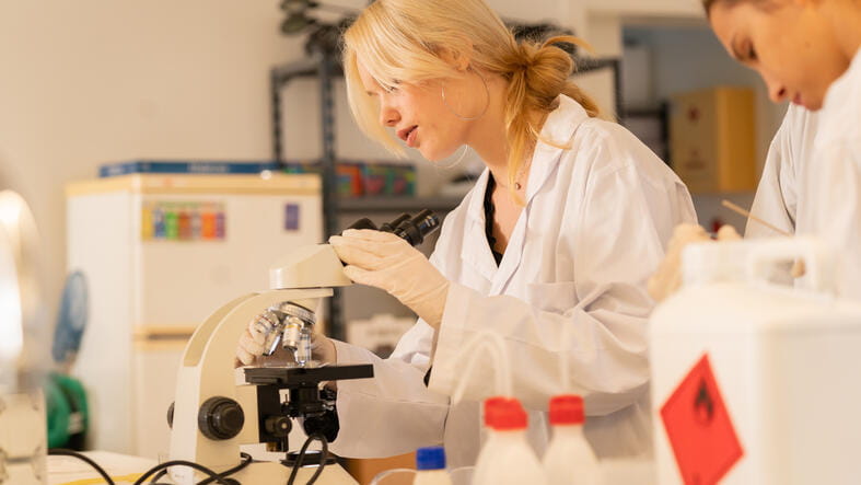 Hamelin-Laie International School | Barcelona | Nord Anglia - Feature Cards Pattern