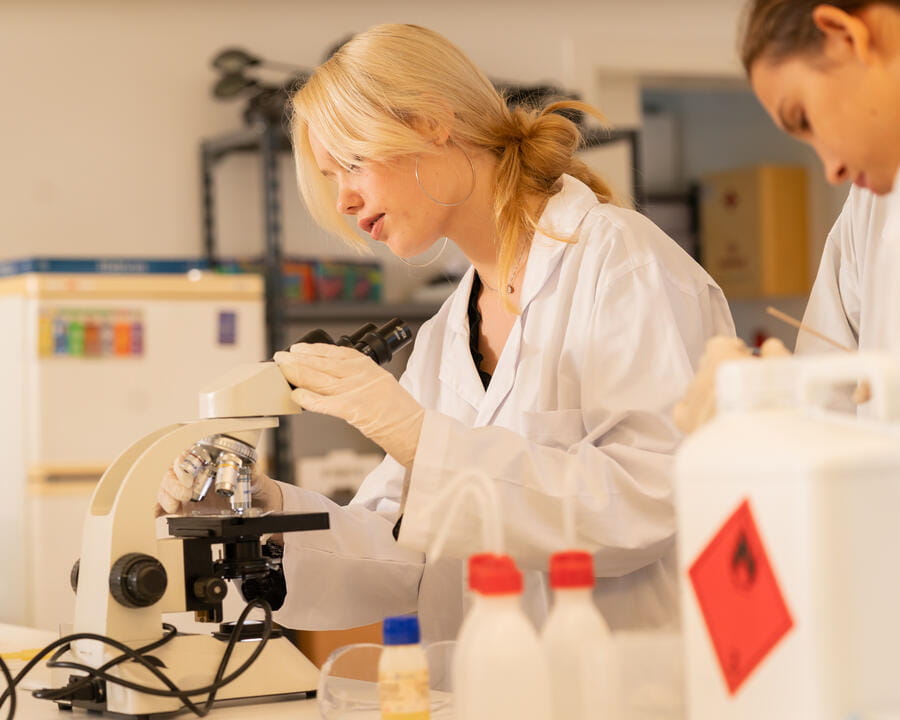 Programa del Diploma de l’IB |Hamelin-Laie International School - Image-50-50