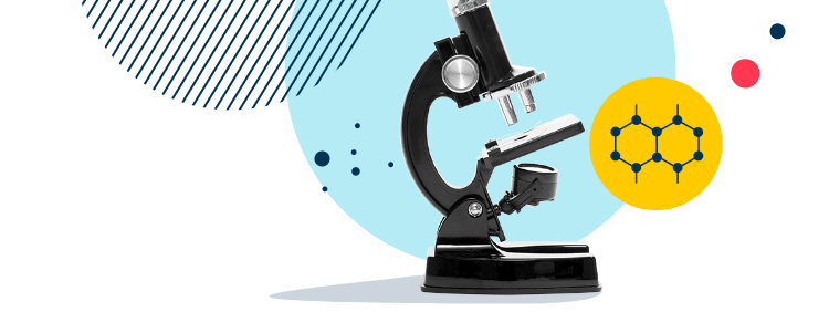 Hamelin-Laie International School | Barcelona | Nord Anglia - Image-50-pattern