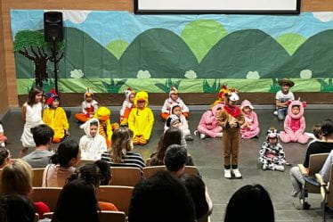 Primary School Curriculum | Hamelin-Laie International School - Feature Cards Pattern 1