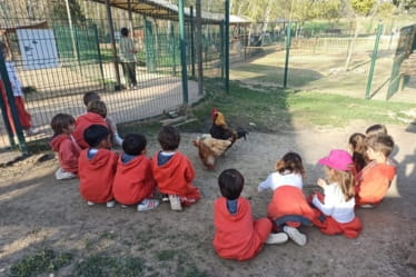 Experiencias Sobresalientes | Hamelin-Laie International School - 07 - Feature Cards Pattern - Expeditions